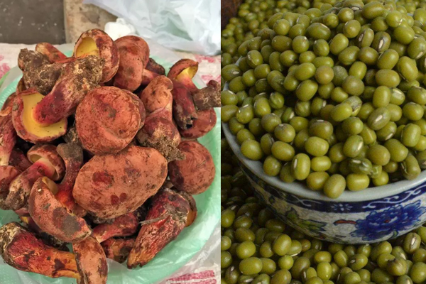 牛肝菌和綠豆可以一起吃嗎