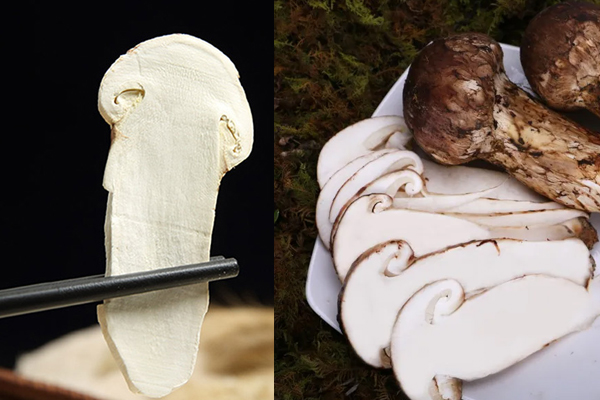 松茸是干的還是新鮮的更有營養(yǎng) 松茸是干的還是新鮮的更有營養(yǎng)