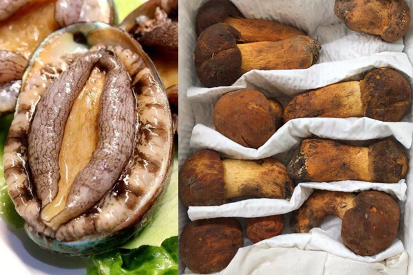 牛肝菌和鮑魚能一起吃嗎，牛肝菌能和羊肉一起燉嗎