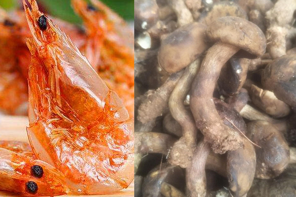 牛肝菌可以和蝦一起吃嗎 牛肝菌可以和蝦一起吃嗎
