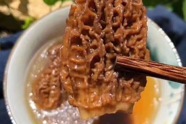 羊肚菌的湯為什么是紅的 羊肚菌的湯為什么是紅的