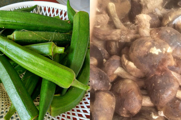 牛肝菌可以油炸嗎，秋葵能和牛肝菌同吃嗎