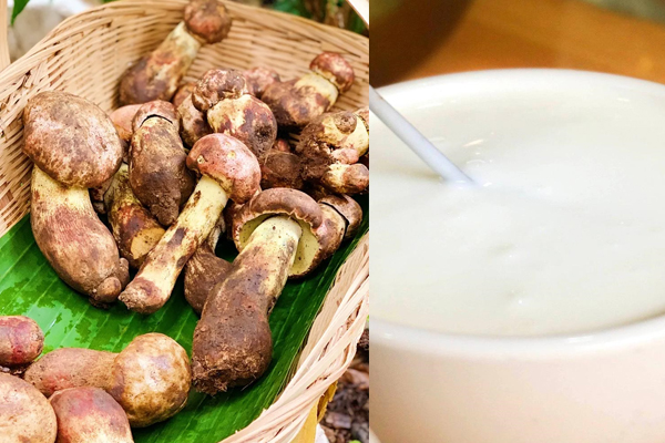 牛肝菌和酸奶可以一起吃嗎 牛肝菌和酸奶可以一起吃嗎