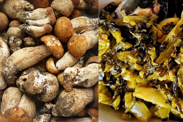 牛肝菌可以和酸菜同吃嗎 牛肝菌可以和酸菜同吃嗎