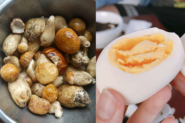 牛肝菌可以炒雞蛋嗎 牛肝菌可以炒雞蛋嗎