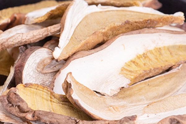 白牛肝菌可以人工栽培嗎 白牛肝菌可以人工栽培嗎