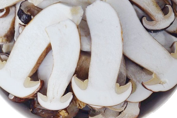 美味牛肝菌有毒性嗎