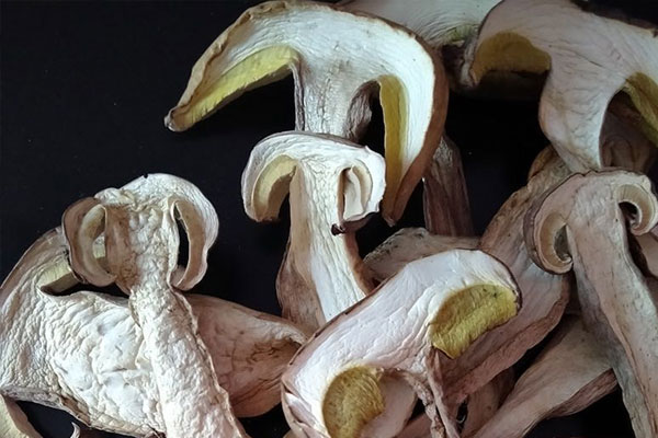 美味牛肝菌曬干了還有營(yíng)養(yǎng)嗎