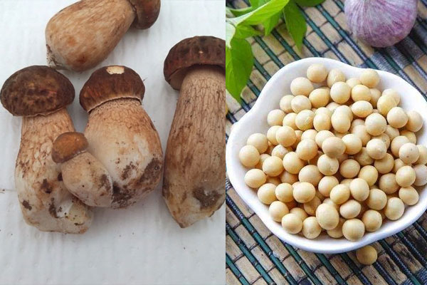 牛肝菌和黃豆可以一起吃嗎，吃完牛肝菌可以喝牛奶嗎