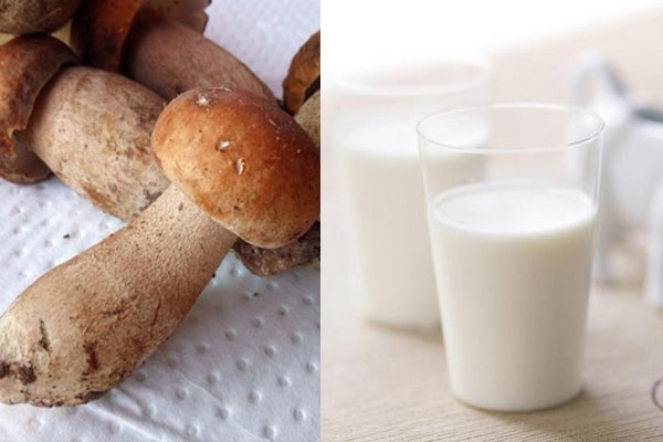 吃完牛肝菌后能喝牛奶嗎