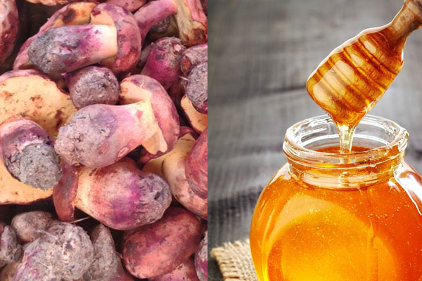 吃了牛肝菌可以喝蜂蜜水嗎，吃了牛肝菌可以吃桃子嗎