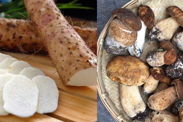 牛肝菌和山藥可以一起吃嗎，牛肝菌怎么做最好吃