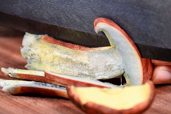 牛肝菌尿酸高的人能吃嗎