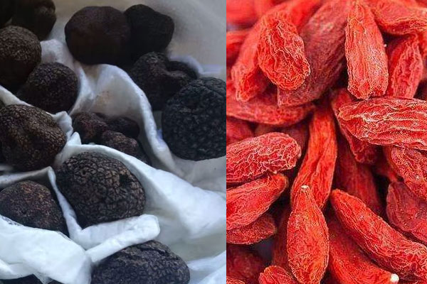 枸杞能和松露泡酒嗎 枸杞能和松露泡酒嗎