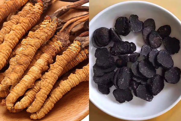 黑松露可以和蟲草一起泡酒嗎 黑松露可以和蟲草一起泡酒嗎