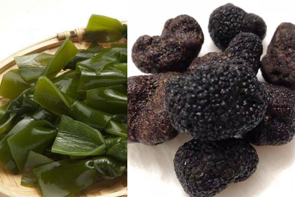 松露可以和海帶一起燉嗎 松露可以和海帶一起燉嗎