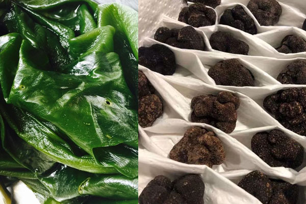 松露搭配海帶具有哪些禁忌 松露搭配海帶具有哪些禁忌