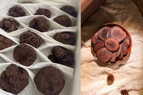 松露能和鹿茸泡酒嗎 松露能和鹿茸泡酒嗎