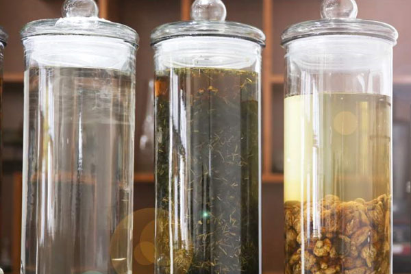 松露靈芝泡酒有哪些禁忌 松露靈芝泡酒有哪些禁忌