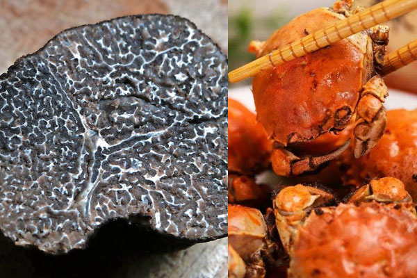 松露能和螃蟹一起吃嗎 松露能和螃蟹一起吃嗎