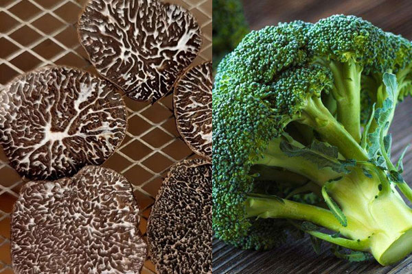 松露可以和西蘭花一起吃嗎，松露可以和玉米一起吃嗎