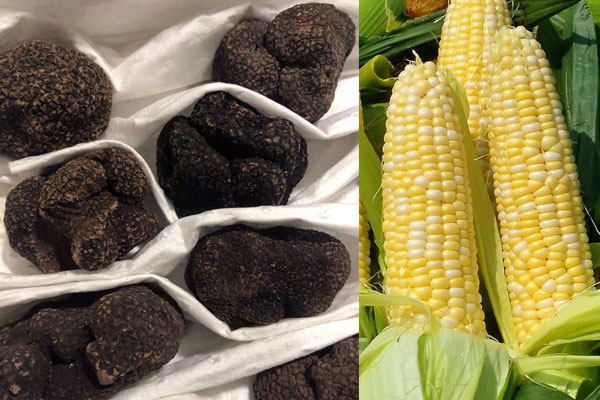 松露能和玉米一起吃嗎 松露能和玉米一起吃嗎