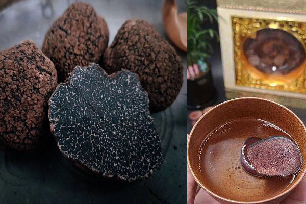 松露鹿茸泡酒的方法 松露鹿茸泡酒的方法