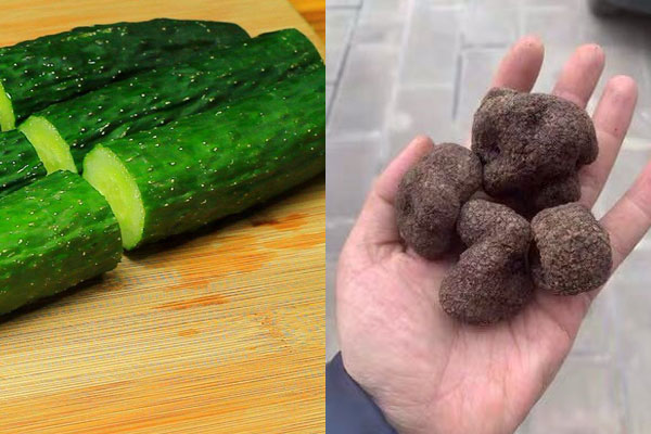 松露可以和黃瓜一起吃嗎，松露能和絲瓜一起吃嗎