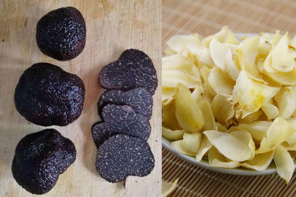 松露和百合能一起吃嗎，松露可以和牛肉一起吃嗎