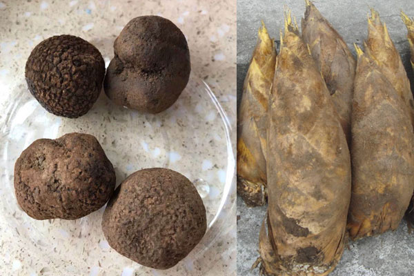 松露炒冬筍的食用禁忌，松露可以和秋葵炒著吃嗎