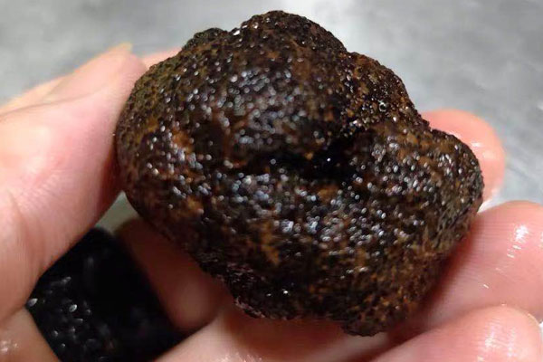 松露洗干凈后怎么保存最好 松露洗干凈后怎么保存最好