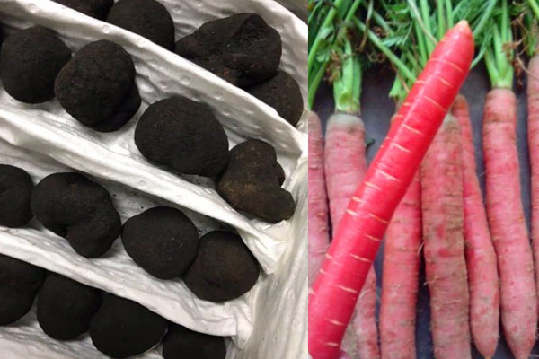 松露能和紅蘿卜一起煮湯嗎 松露能和紅蘿卜一起煮湯嗎