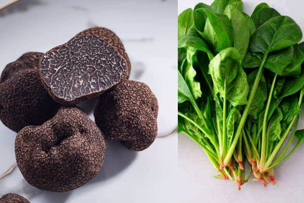 黑松露醬開了能保存多久，松露能和菠菜一起吃嗎