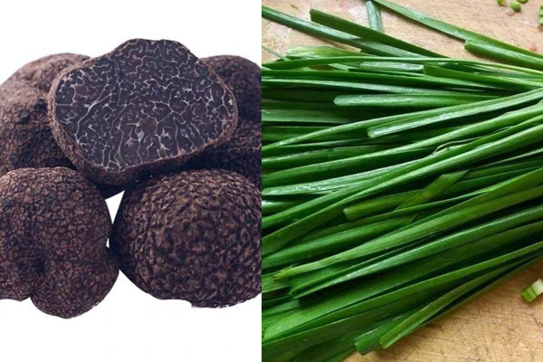 松露能和韭菜一起吃嗎，松露可以和木耳一起煮湯嗎