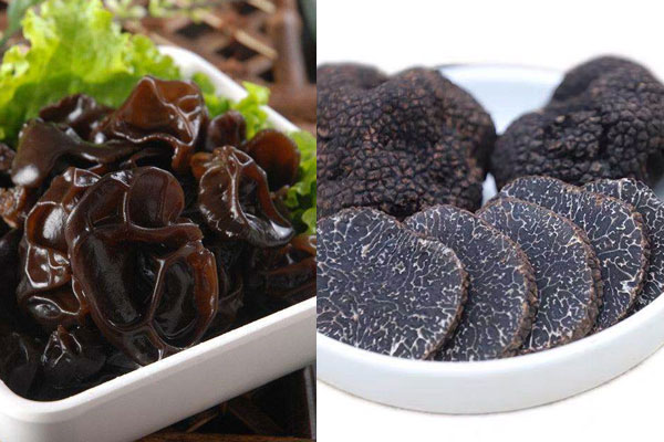 松露能和木耳一起煲湯嗎 松露能和木耳一起煲湯嗎