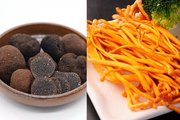 松露能和蟲草花一起煲湯嗎 松露能和蟲草花一起煲湯嗎