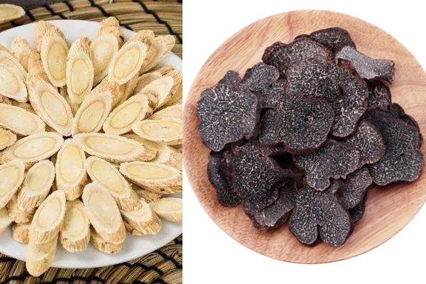 松露能和黃芪一起燉雞嗎 松露能和黃芪一起燉雞嗎