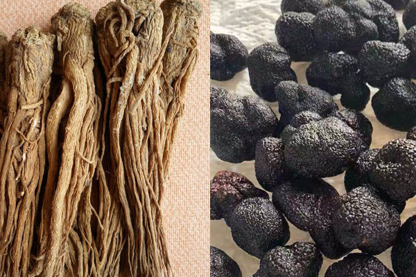 松露黃芪雞湯的食用禁忌，松露可以和當(dāng)歸一起燉嗎