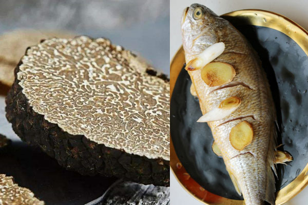松露能和魚一起吃嗎 松露能和魚一起吃嗎
