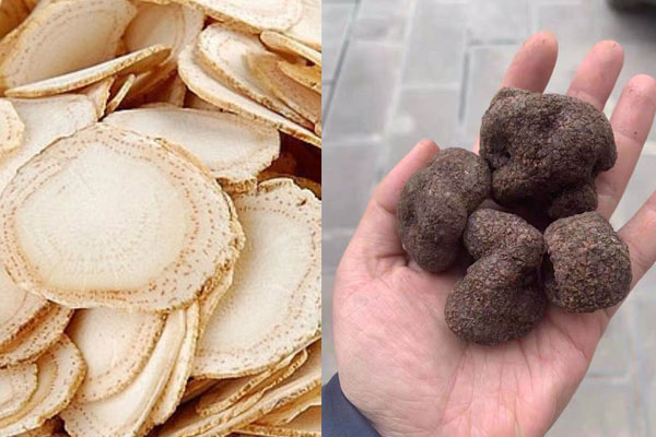 松露和西洋參同吃會上火嗎 松露和西洋參同吃會上火嗎