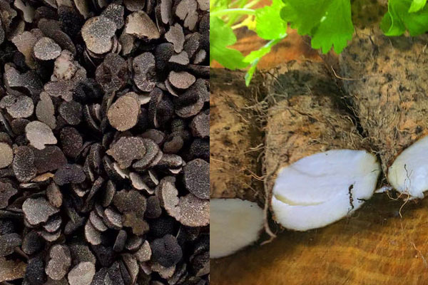 松露和淮山可以一起吃嗎，松露淮山湯怎么做好吃