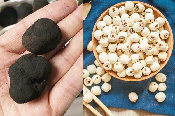 松露蓮子雞湯的食用禁忌，松露可以和麥冬一起煮湯嗎