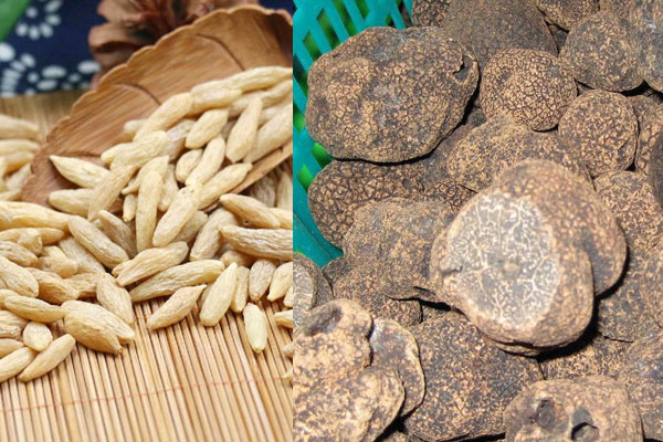 松露能和麥冬一起煮湯嗎 松露能和麥冬一起煮湯嗎