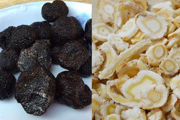 松露可以和沙參一起燉湯嗎，松露能和人參一起吃嗎