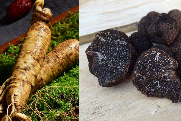 松露可以和人參一起吃嗎