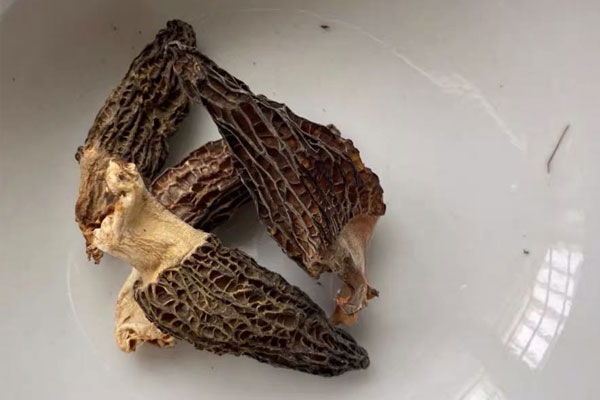 羊肚菌不放肉怎么做湯吃 羊肚菌不放肉怎么做湯吃