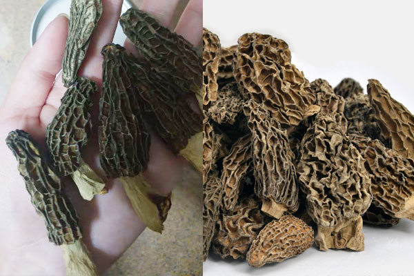 羊肚菌買帶柄好還是不帶柄，羊肚菌是否越小越貴