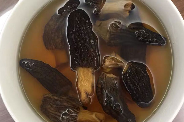 過夜的羊肚菌還能吃嗎 過夜的羊肚菌還能吃嗎