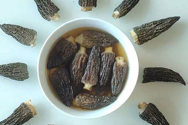 羊肚菌泡水喝正確方法，干羊肚菌一定要泡發(fā)嗎
