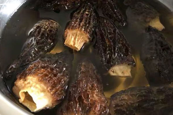 羊肚菌泡水喝上火嗎 羊肚菌泡水喝上火嗎